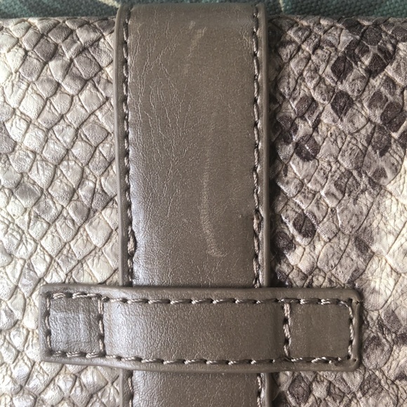 Shiraleah snake skin clutch - Picture 12 of 12